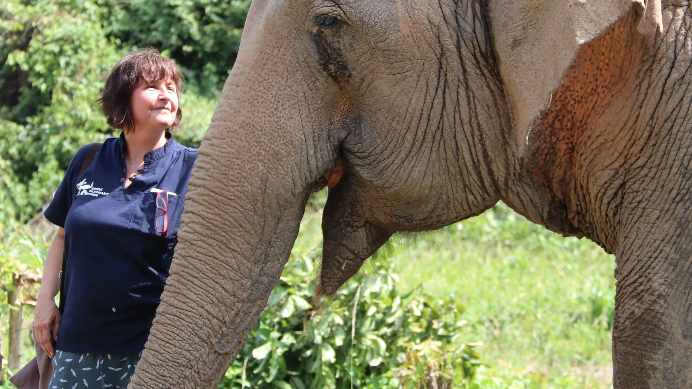 A visitor beside an elephant among trees at Samui Elephant Home